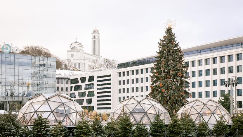 Kauno eglutė skaičiuoja paskutines dienas